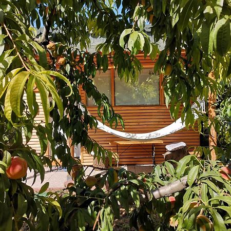 Villa Relax Eaza - Casa Cu Hamac Constanţa Esterno foto