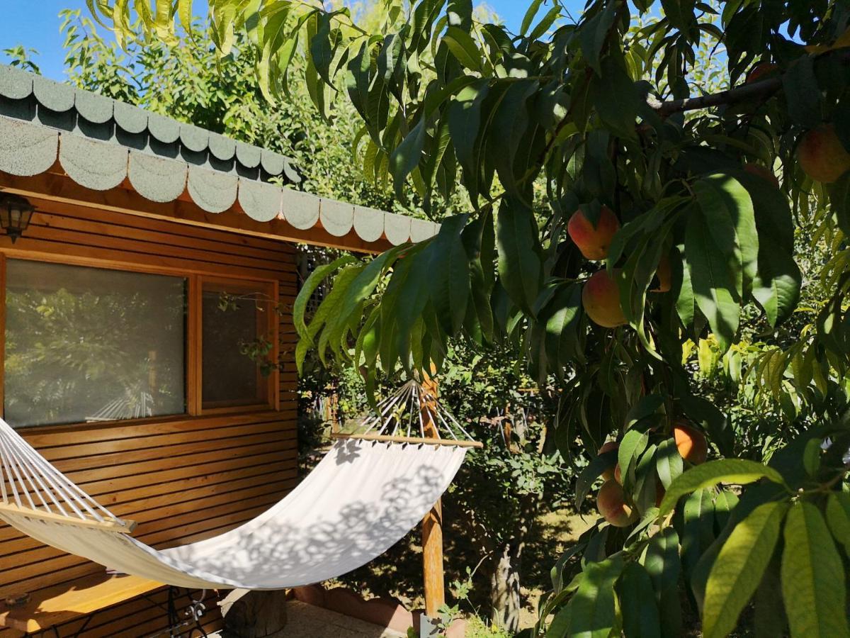 Villa Relax Eaza - Casa Cu Hamac Constanţa Esterno foto